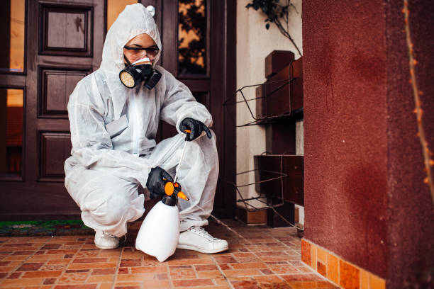 Reliable Bed Bug Control contractor in Coburg, OR by Nex Pest Control