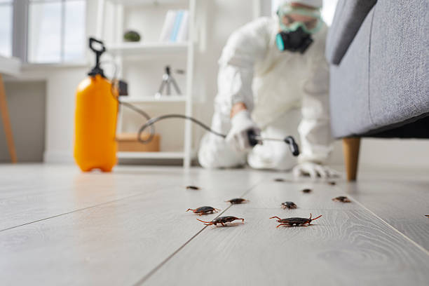 Trusted Cockroach Control service in Coburg, OR - Nex Pest Control