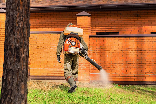 Trusted Rodent Control service in Coburg, OR - Nex Pest Control